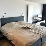 Suite 16